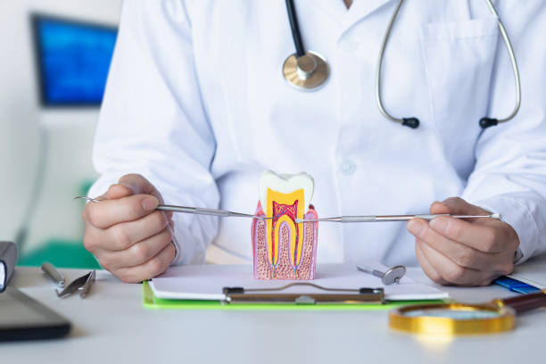 Best Emergency Treatment for Toothache in Hondo, TX